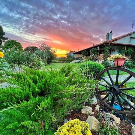 Vila Ivonnis Garden Mesimvria  Exteriér fotografie