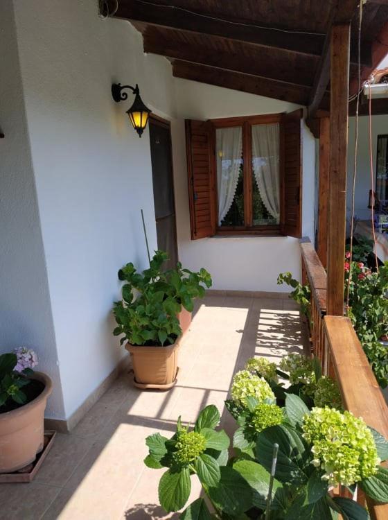Vila Ivonnis Garden Mesimvria  Exteriér fotografie