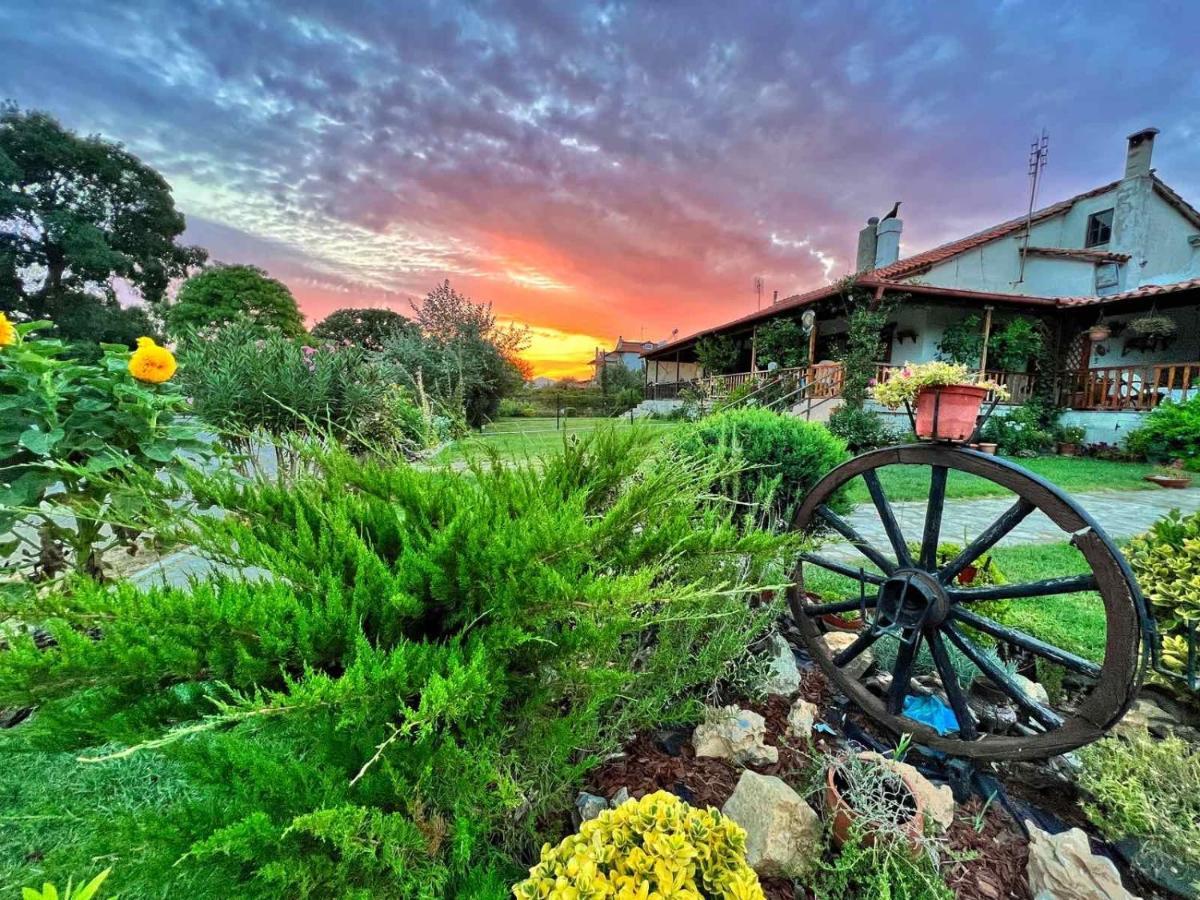 Vila Ivonnis Garden Mesimvria  Exteriér fotografie