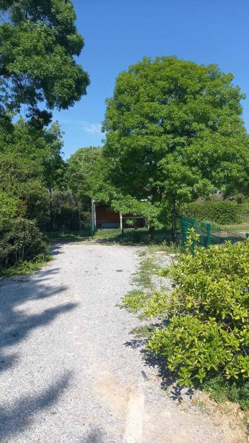 Vila Ivonnis Garden Mesimvria  Exteriér fotografie
