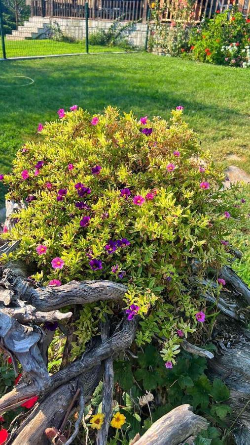 Vila Ivonnis Garden Mesimvria  Exteriér fotografie