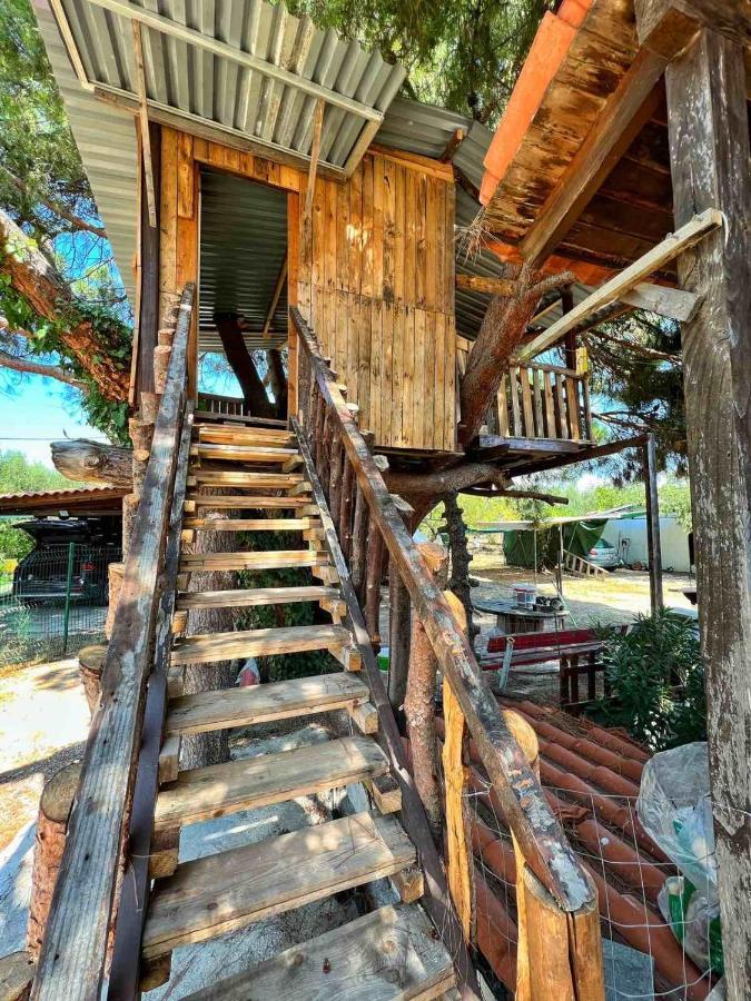 Vila Ivonnis Garden Mesimvria  Exteriér fotografie