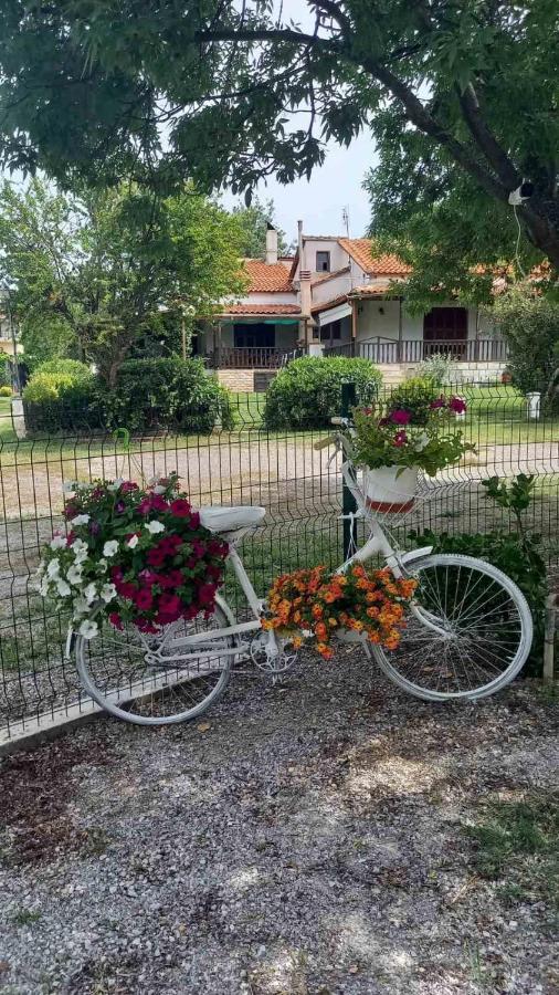 Vila Ivonnis Garden Mesimvria  Exteriér fotografie