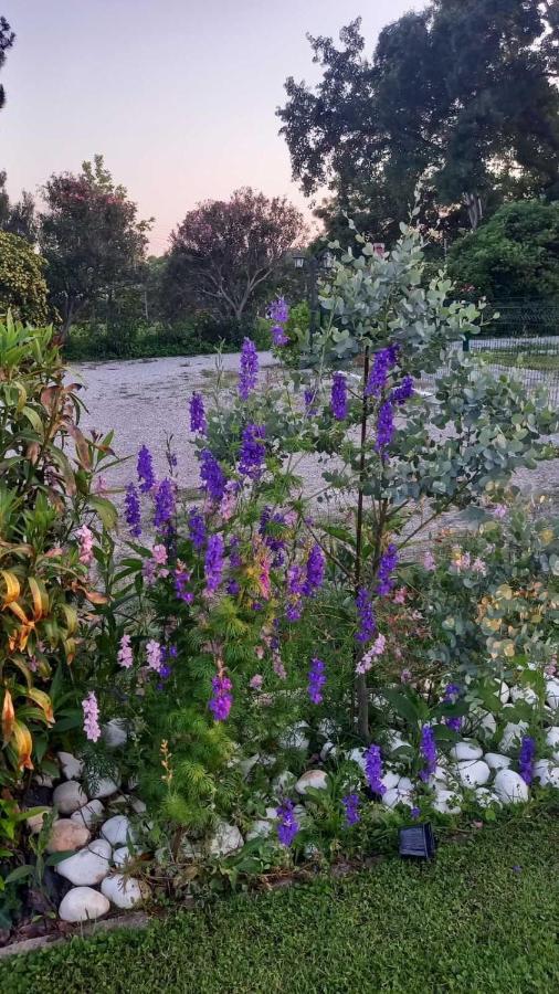 Vila Ivonnis Garden Mesimvria  Exteriér fotografie